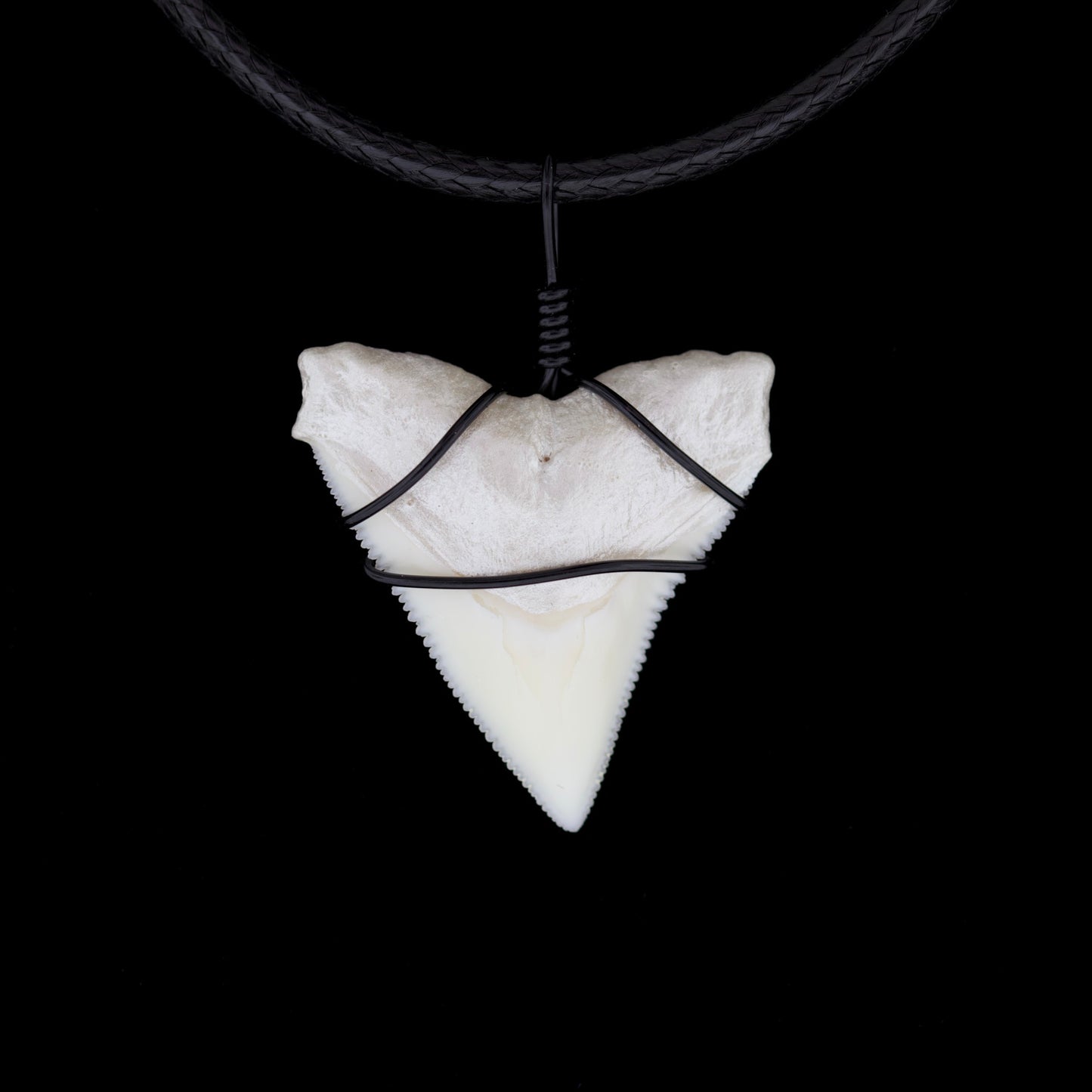1" Modern Bull Shark Tooth Necklace – Color Wire-Wrap / Pearlescent Root