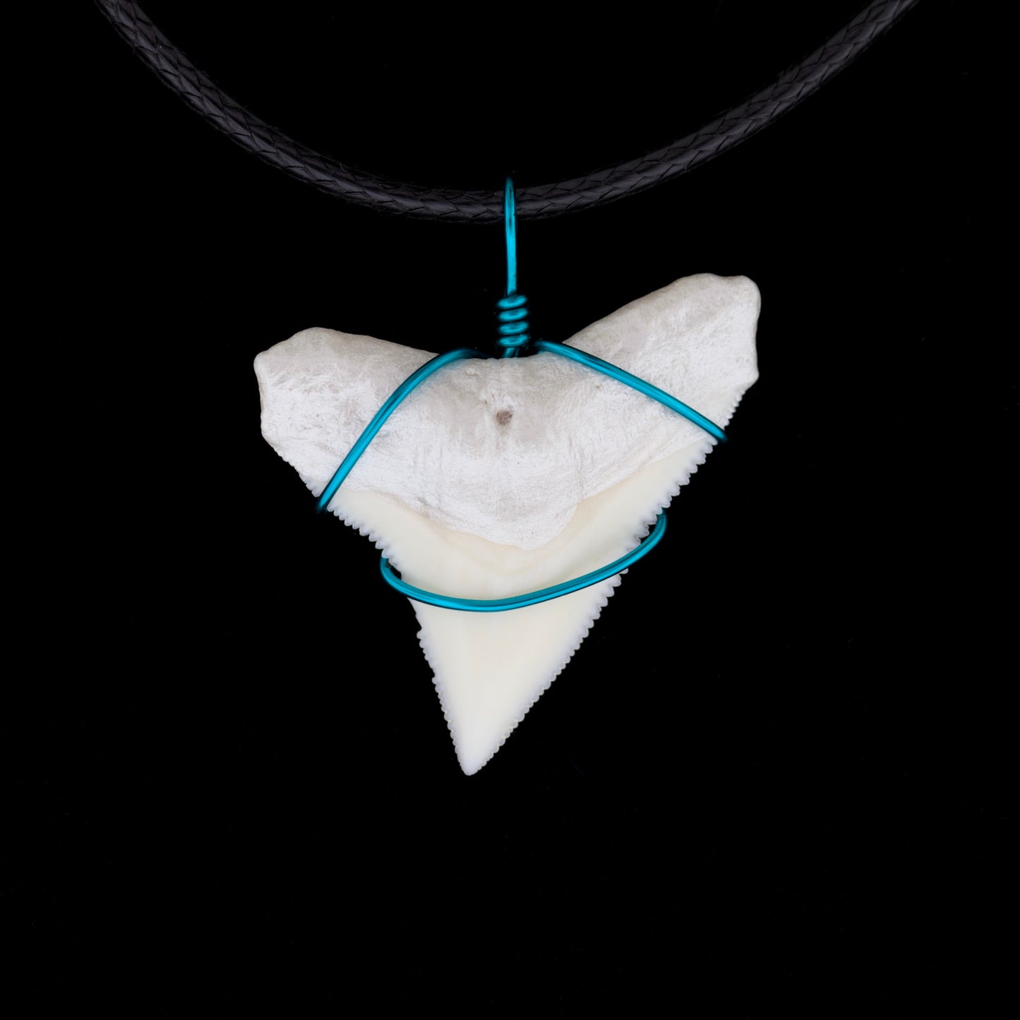 1" Modern Bull Shark Tooth Necklace – Color Wire-Wrap / Pearlescent Root