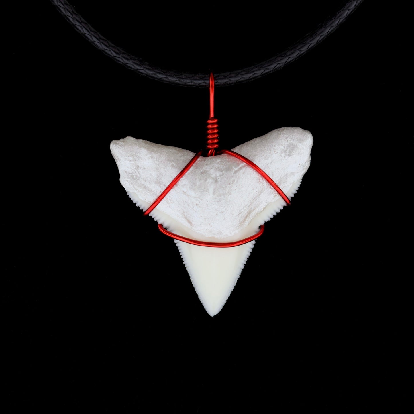 1" Modern Bull Shark Tooth Necklace – Color Wire-Wrap / Pearlescent Root