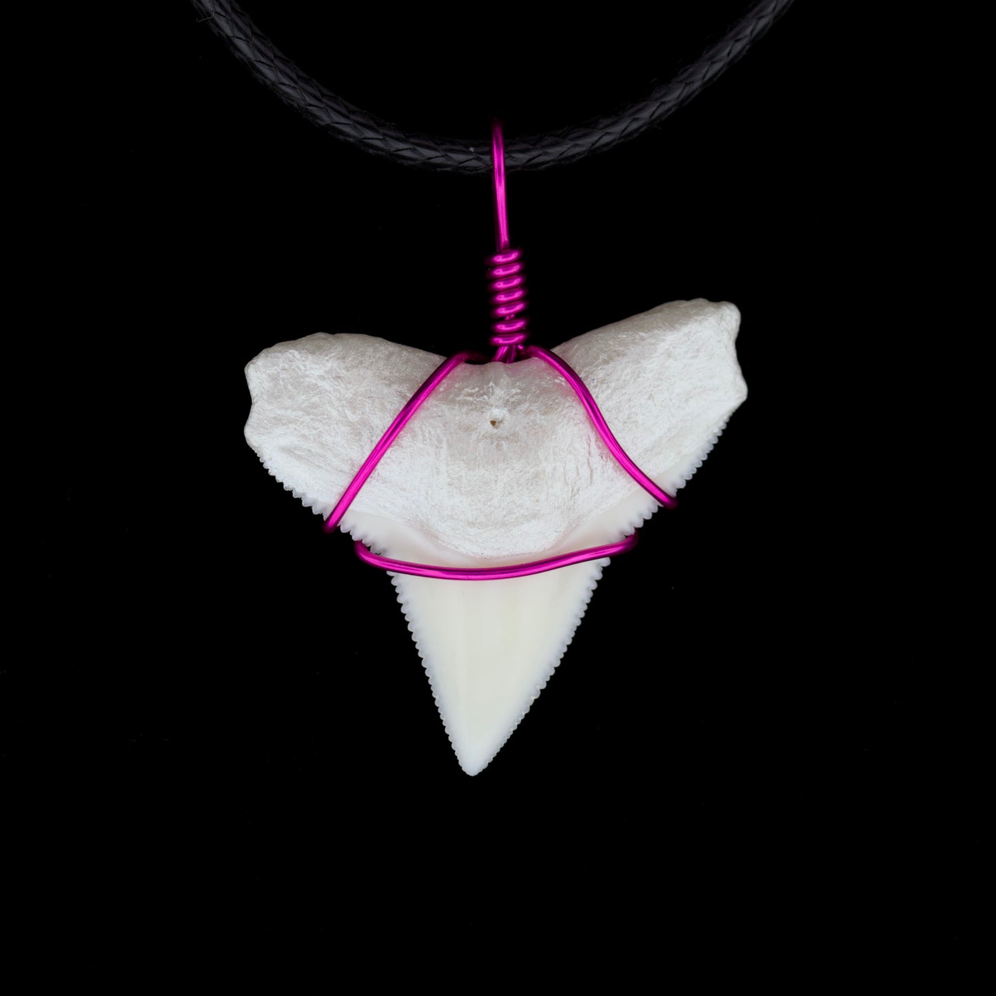 1" Modern Bull Shark Tooth Necklace – Color Wire-Wrap / Pearlescent Root