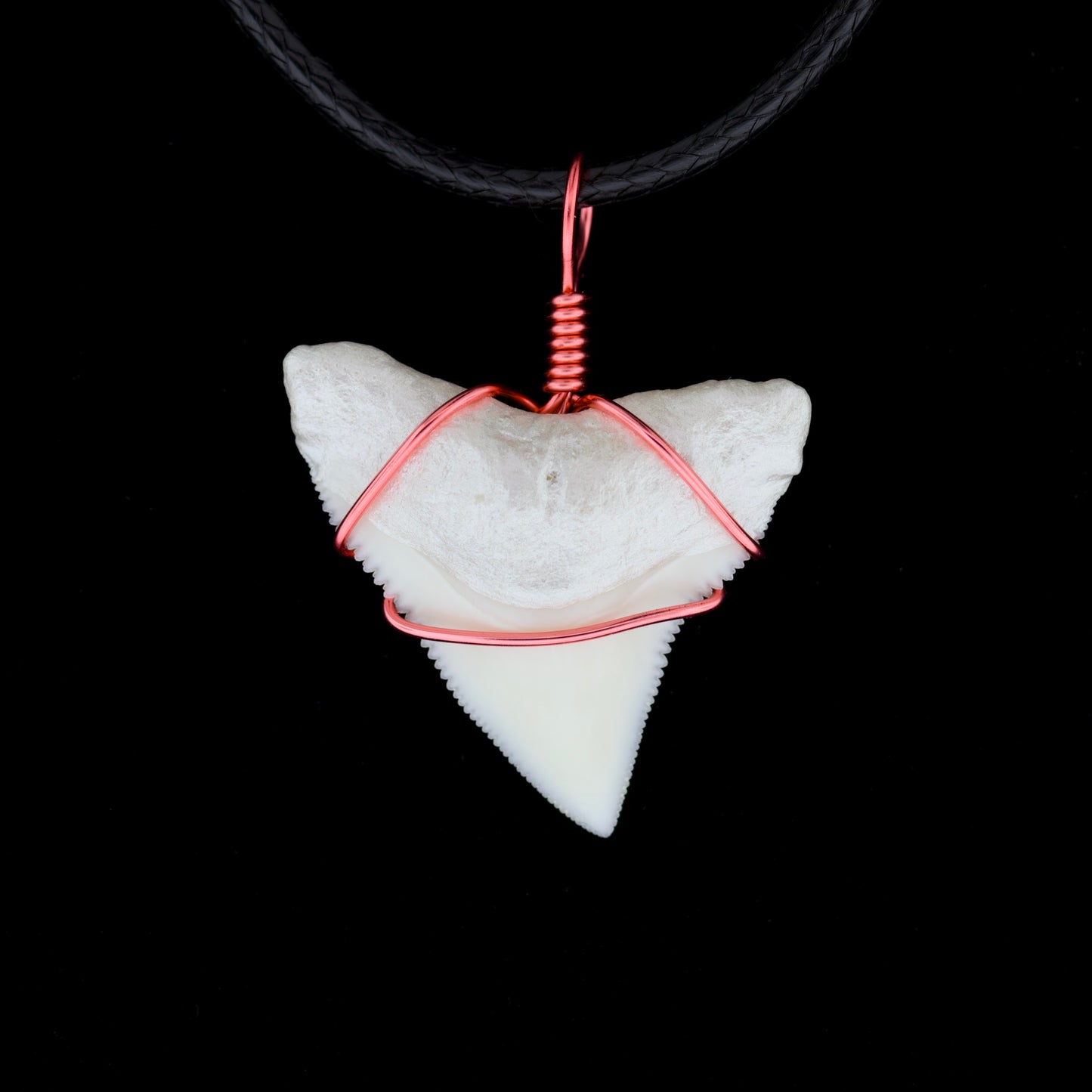 1" Modern Bull Shark Tooth Necklace – Color Wire-Wrap / Pearlescent Root