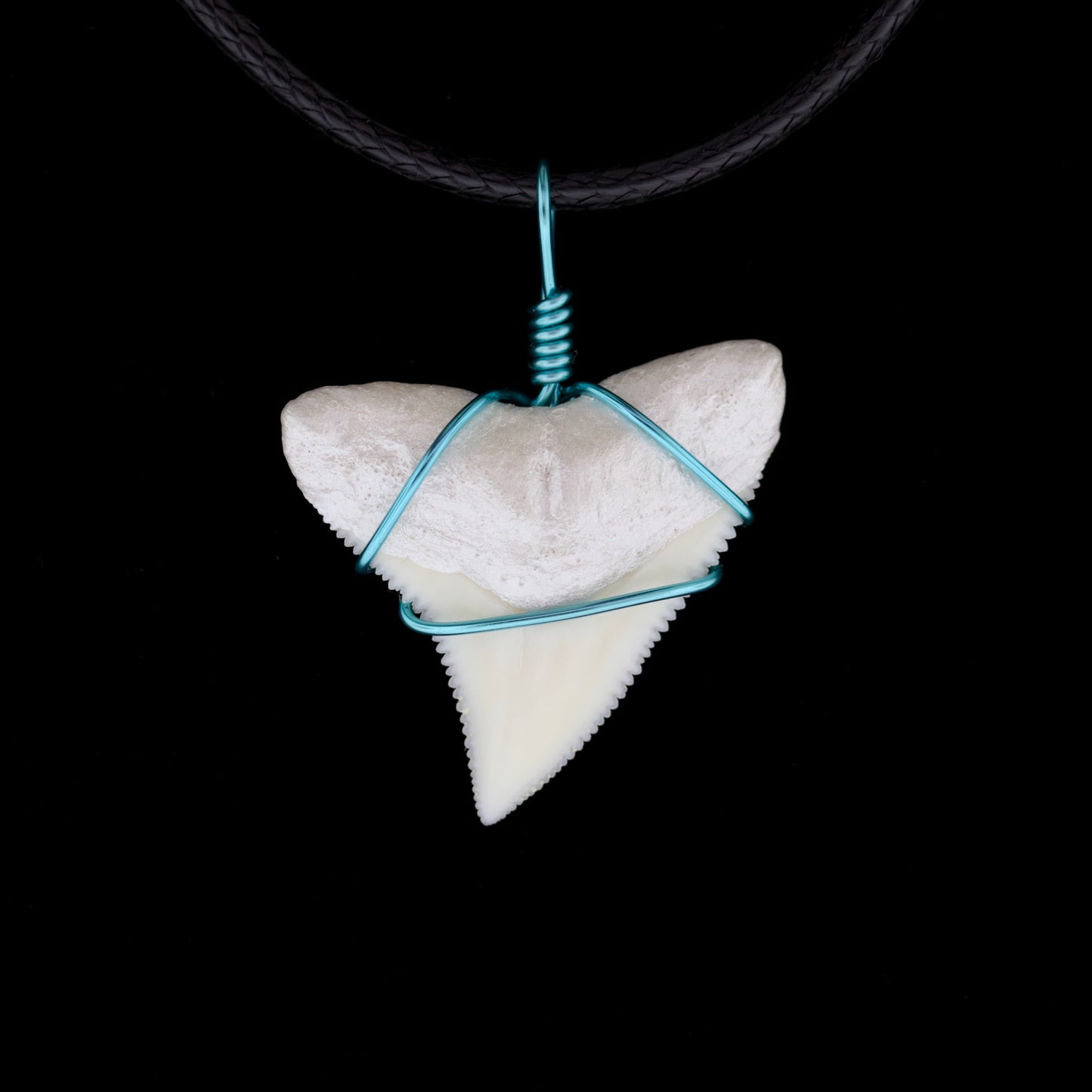 1" Modern Bull Shark Tooth Necklace – Color Wire-Wrap / Pearlescent Root