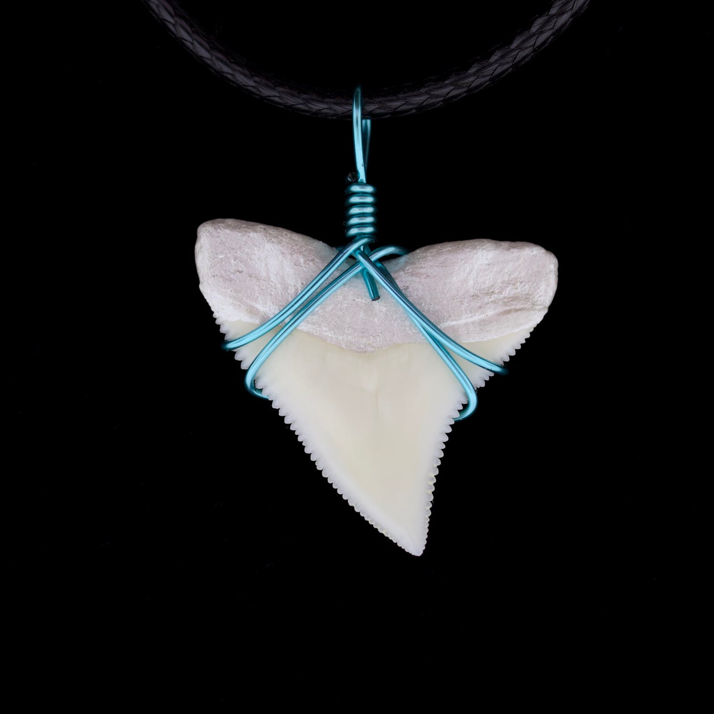1" Modern Bull Shark Tooth Necklace – Color Wire-Wrap / Pearlescent Root