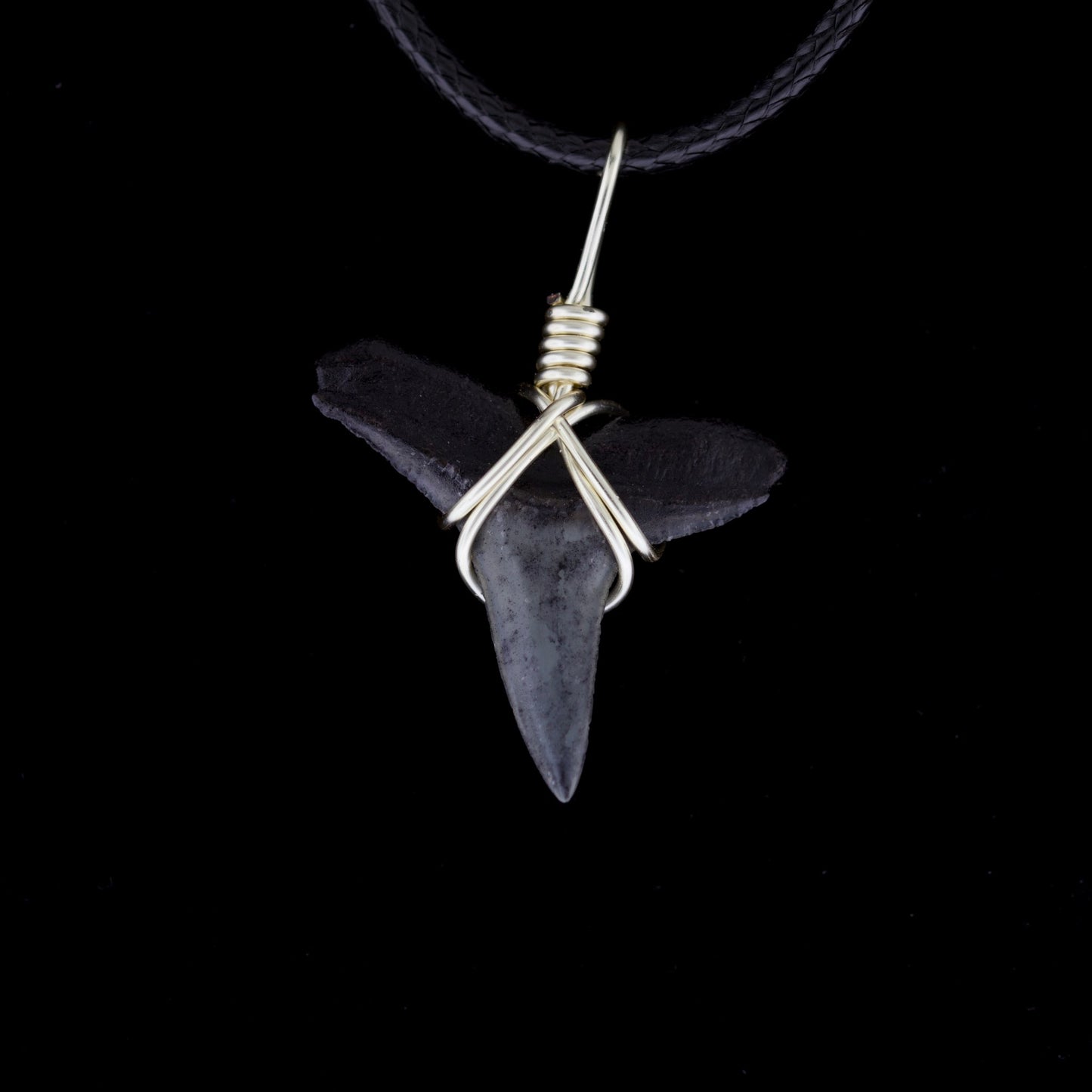 1" Fossil Lemon Shark Tooth Necklace – Wire-Wrapped, Black Cord