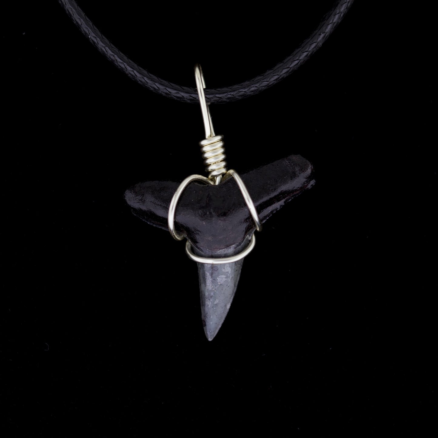 Black lemon shark tooth pendant on a black cord against a black background