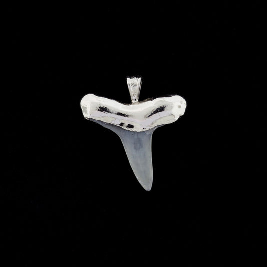 1" Fossil Lemon Shark Tooth Pendant | Nickel Electroformed