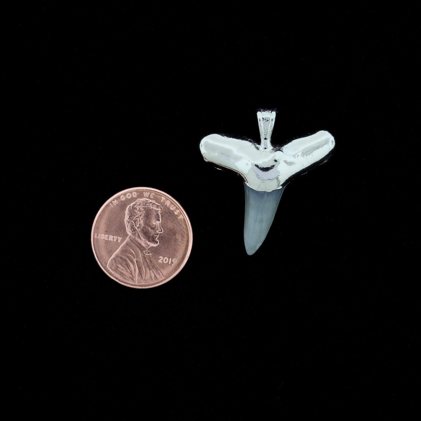 1" Fossil Lemon Shark Tooth Pendant | Nickel Electroformed