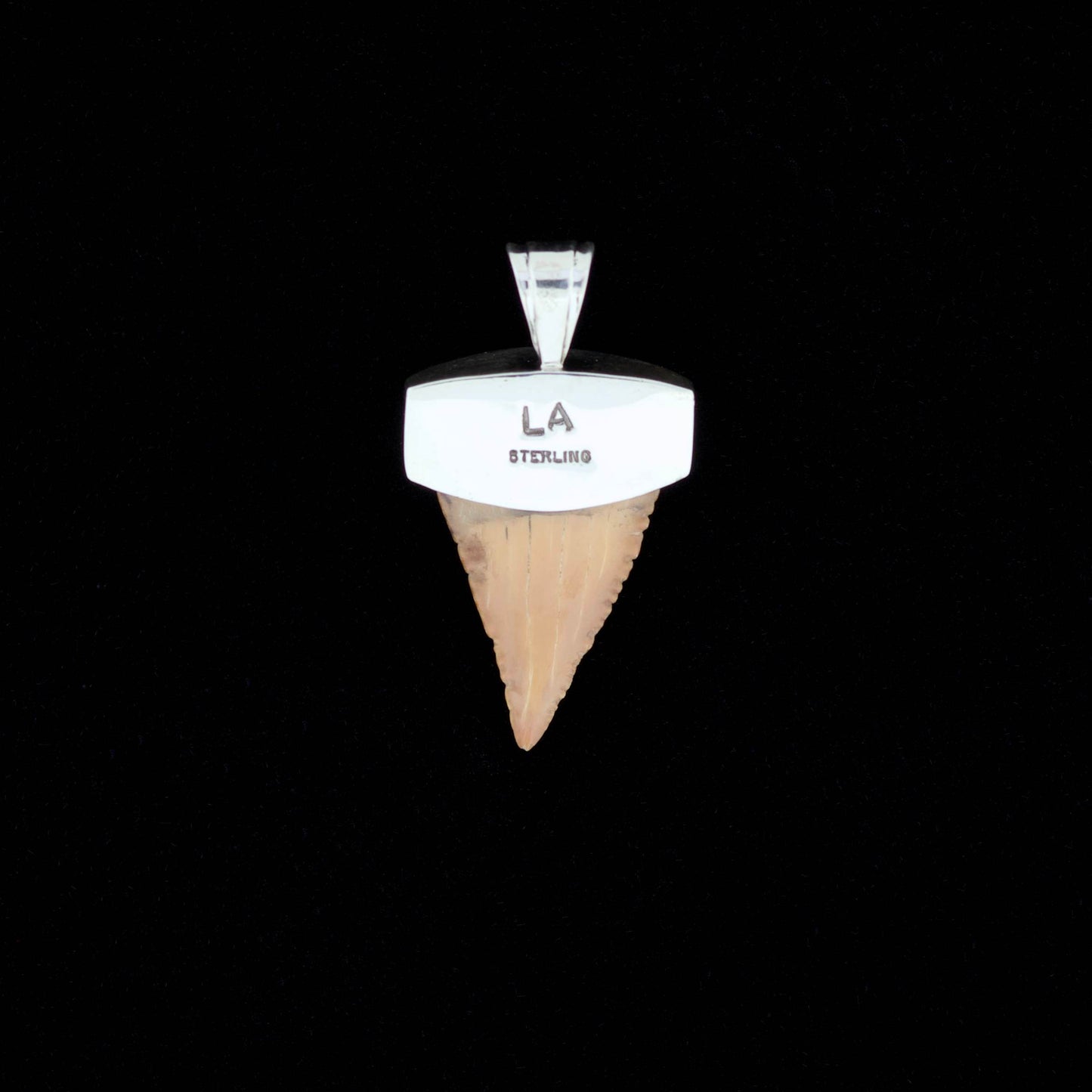 Fossil pygmy white shark tooth pendant with silver bail, onyx and tiger's eye inlay, on a black background.