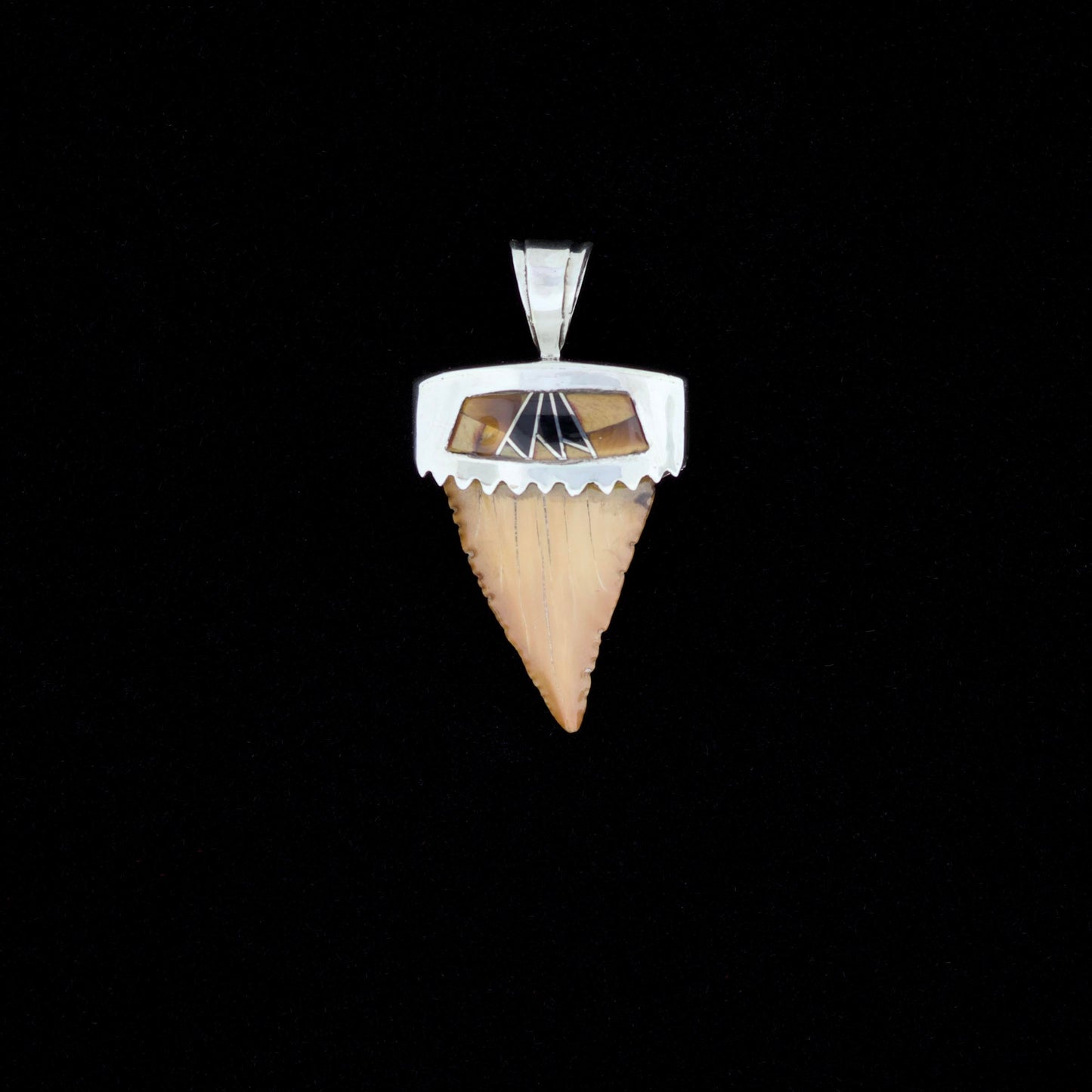 Fossil pygmy white shark tooth pendant with silver bail, onyx and tiger's eye inlay, on a black background.