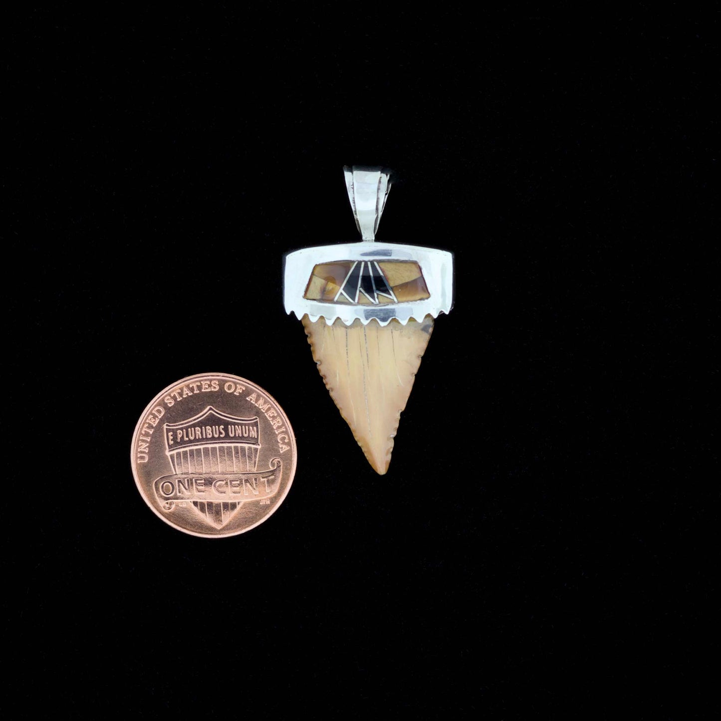 Fossil pygmy white shark tooth pendant with silver bail, onyx and tiger's eye inlay, next to a penny for scale, on a black background.