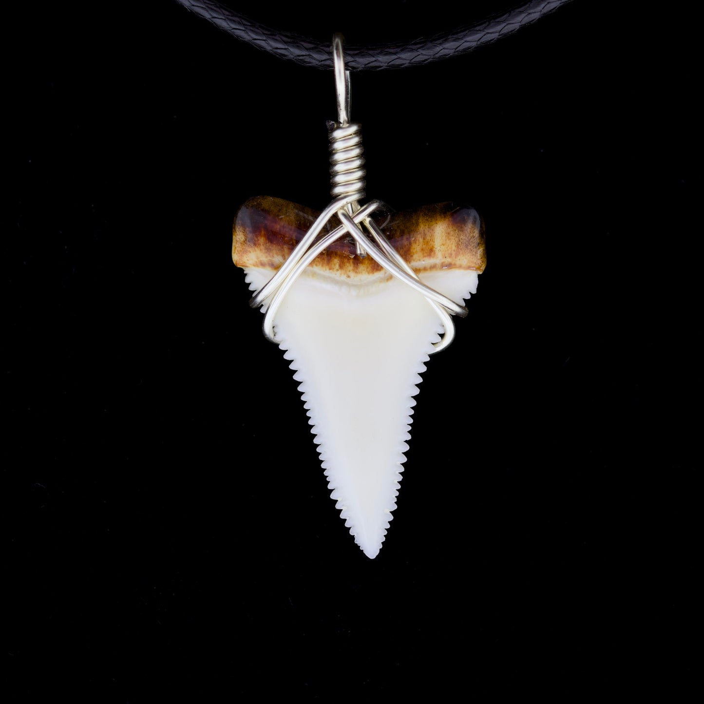 1" Modern Great White Tooth Necklace – Burnt Root / Wire-Wrapped