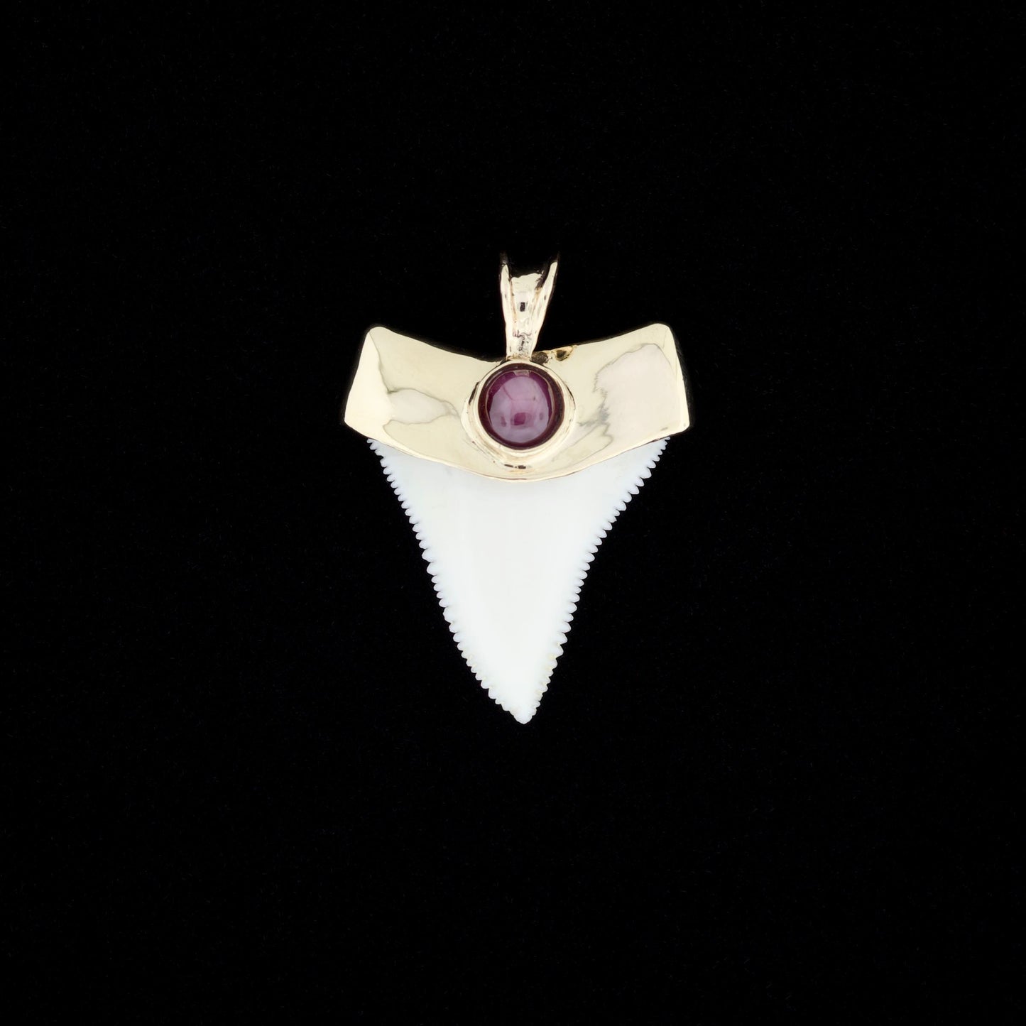 Modern great white shark tooth pendant with a gold cap and ruby inlay on a black background