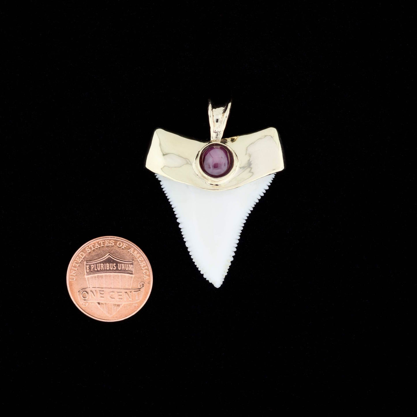 Modern great white shark tooth pendant with a gold cap and ruby inlay next to a penny on a black background