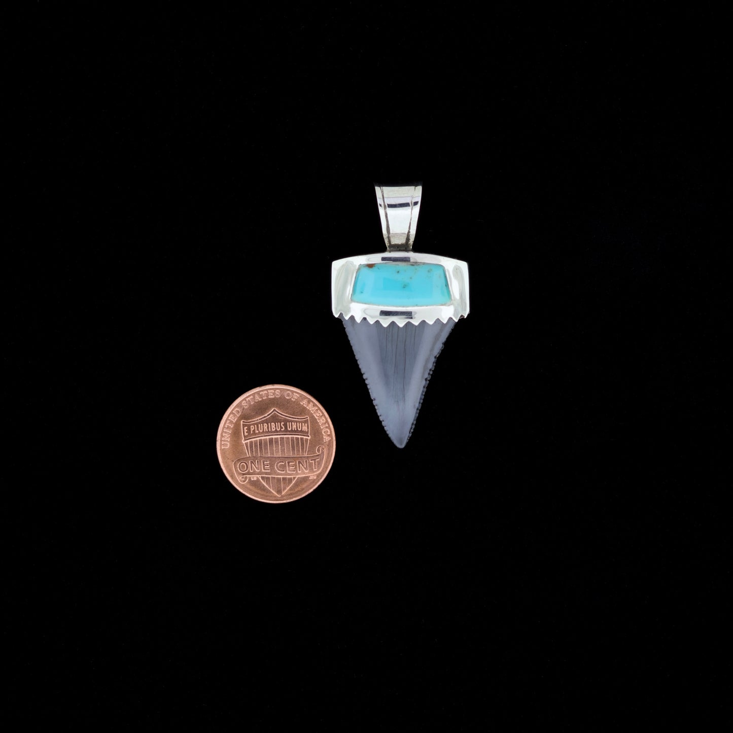 1-1/4" Fossil Great White Shark Pendant | Sterling Silver & Turquoise Inlay (NWD)