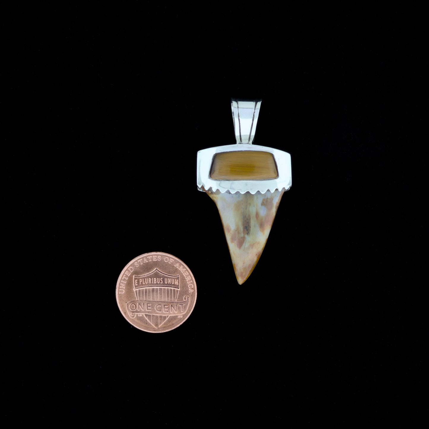 1-1/4" Fossil Mako Shark Pendant | Sterling Silver & Tiger's Eye