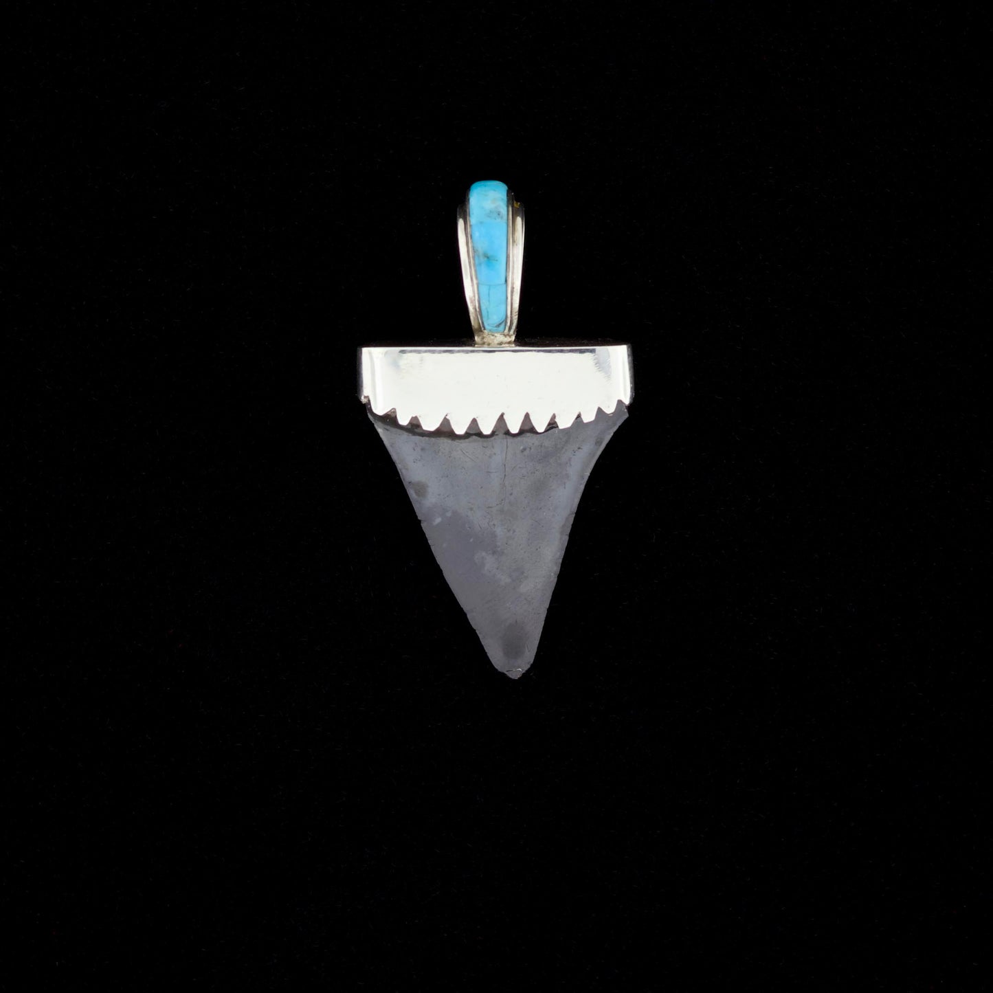 Fossil mako shark tooth pendant with blue turquoise inlay on a black background