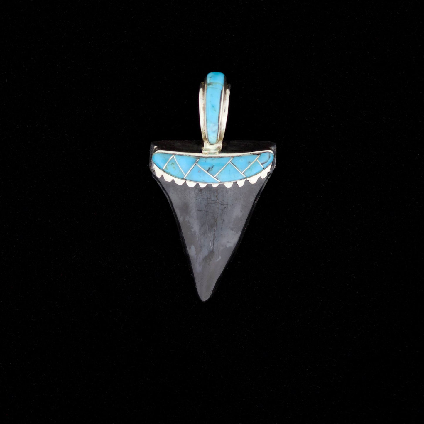 Fossil mako shark tooth pendant with blue turquoise inlay on a black background