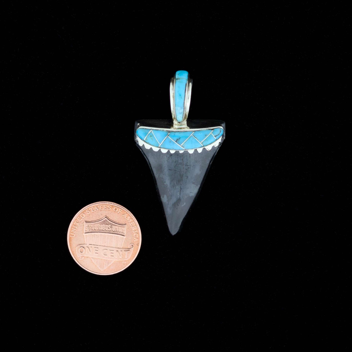 Fossil mako shark tooth pendant with blue turquoise inlay next to a penny on a black background