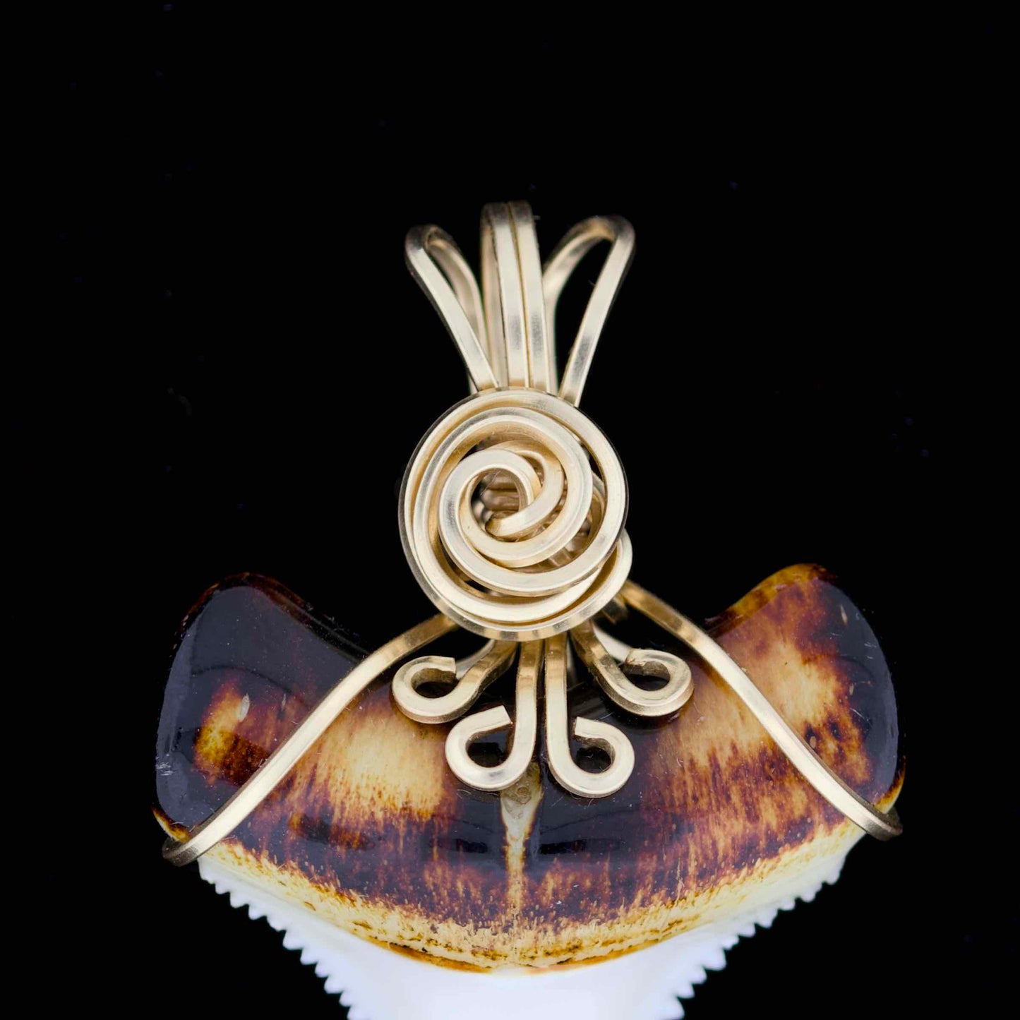 Modern great white shark tooth pendant with ornate gold wire wrapping, on a black background.