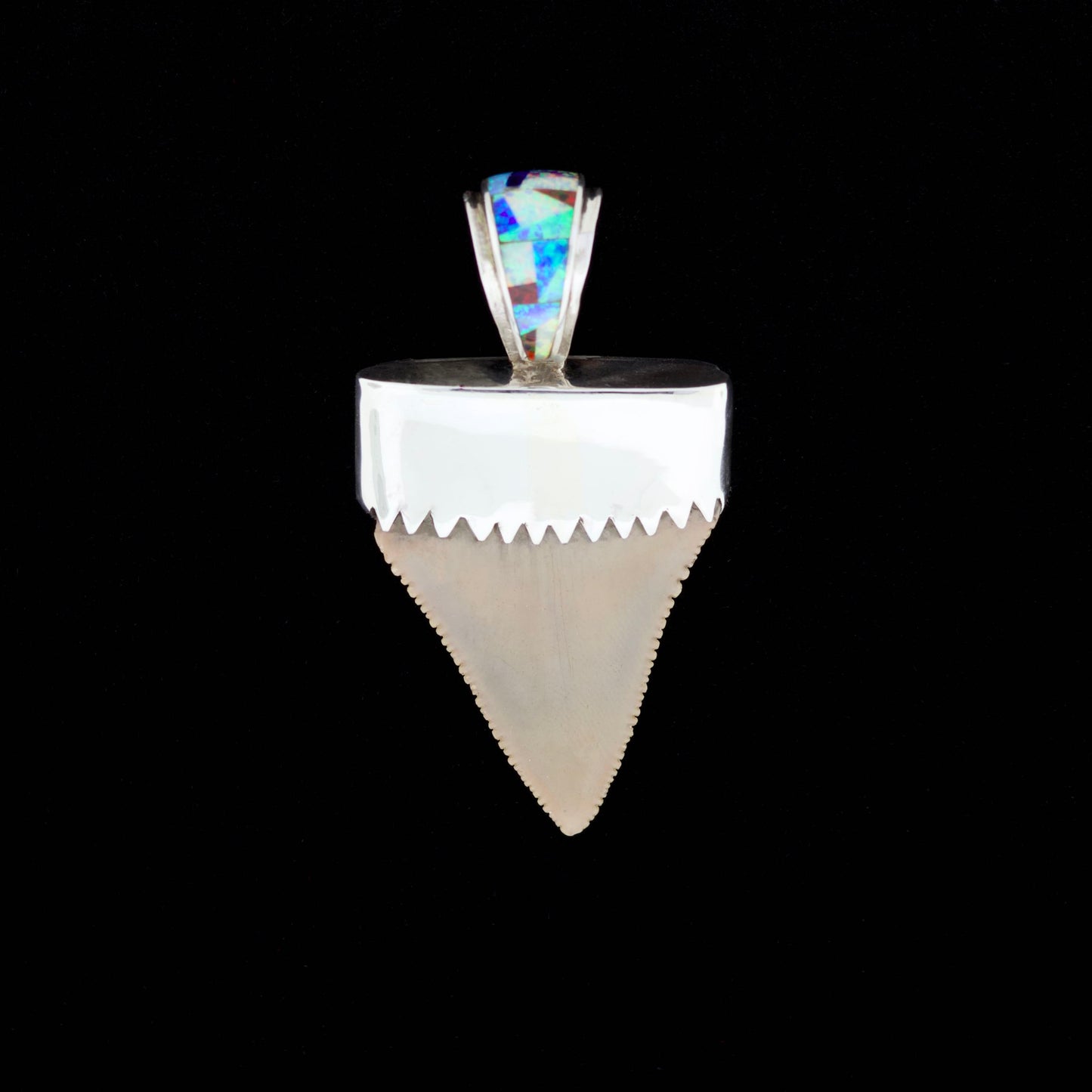 Multicolored opal inlay fossil great white shark tooth pendant on a black background