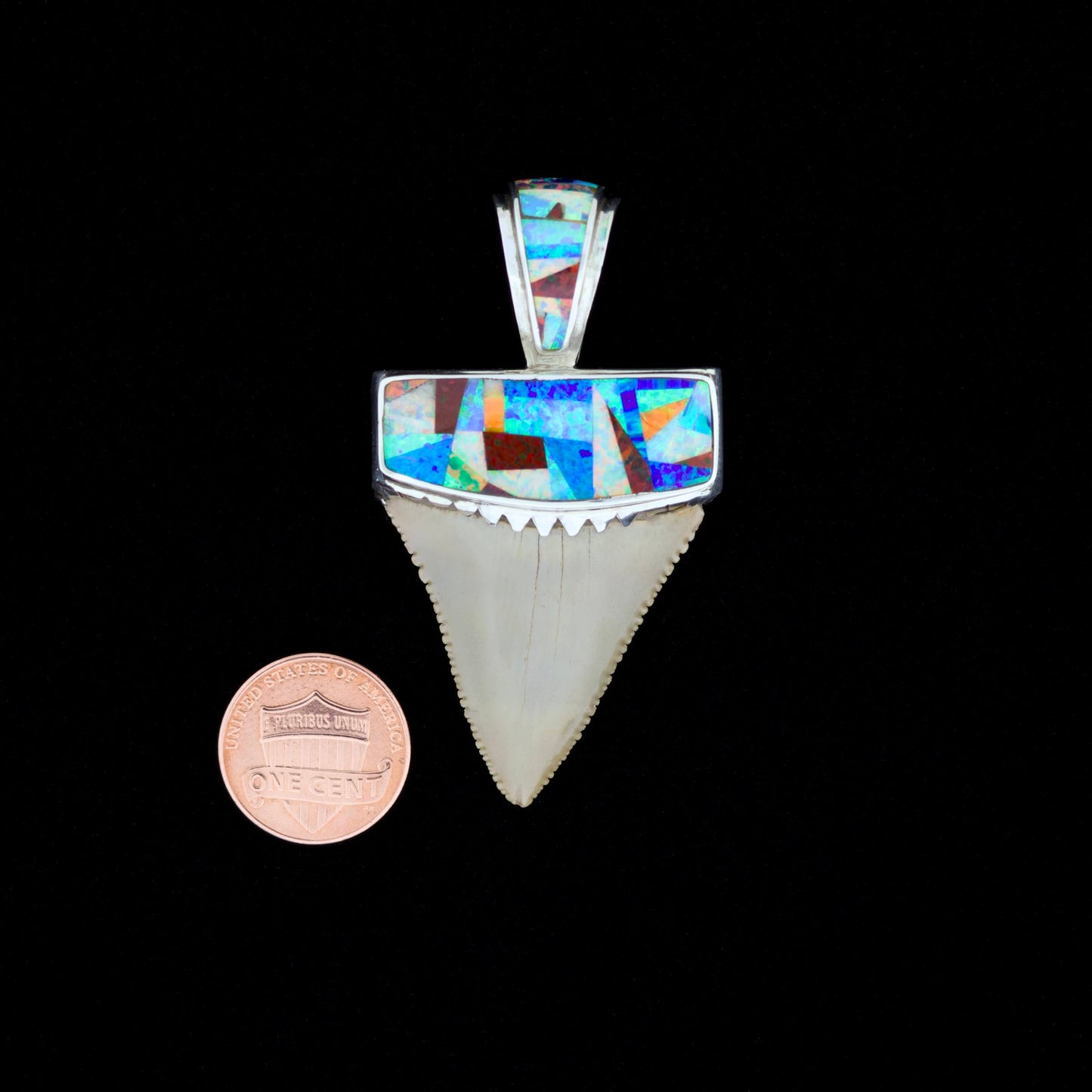 Multicolored opal inlay fossil great white shark tooth pendant on a black background