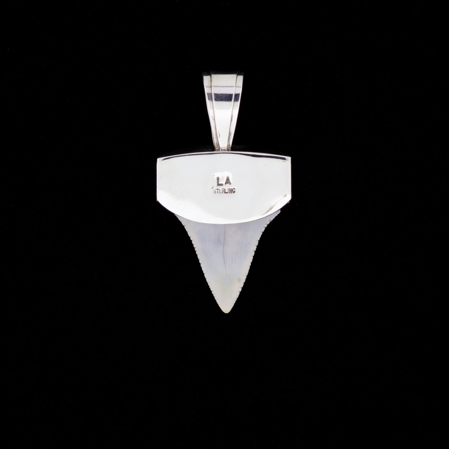 1-5/8" Fossil Great White Tooth Pendant | Sterling Silver, Multi-Stone