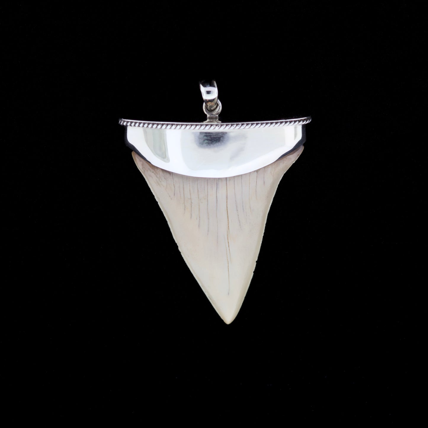 Shiny silver fossil mako shark tooth pendant on a black background