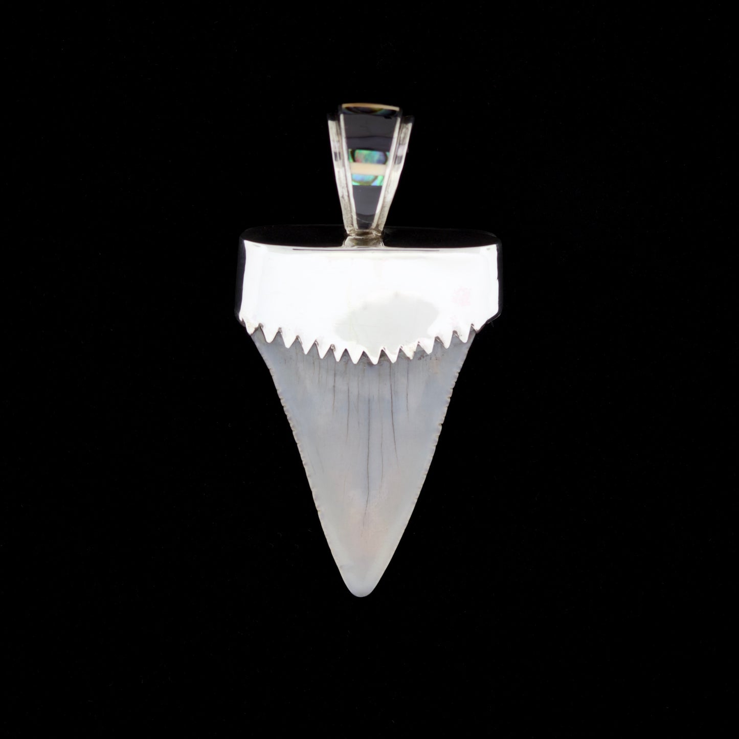 2⅛" Fossil Great White Tooth Pendant | Sterling Silver, Multi-Stone