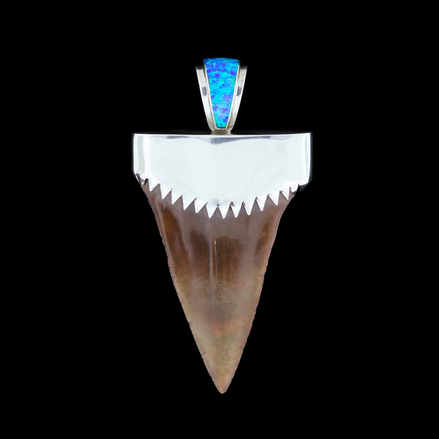Fossil mako shark tooth pendant with blue inlay and silver setting on a black background.