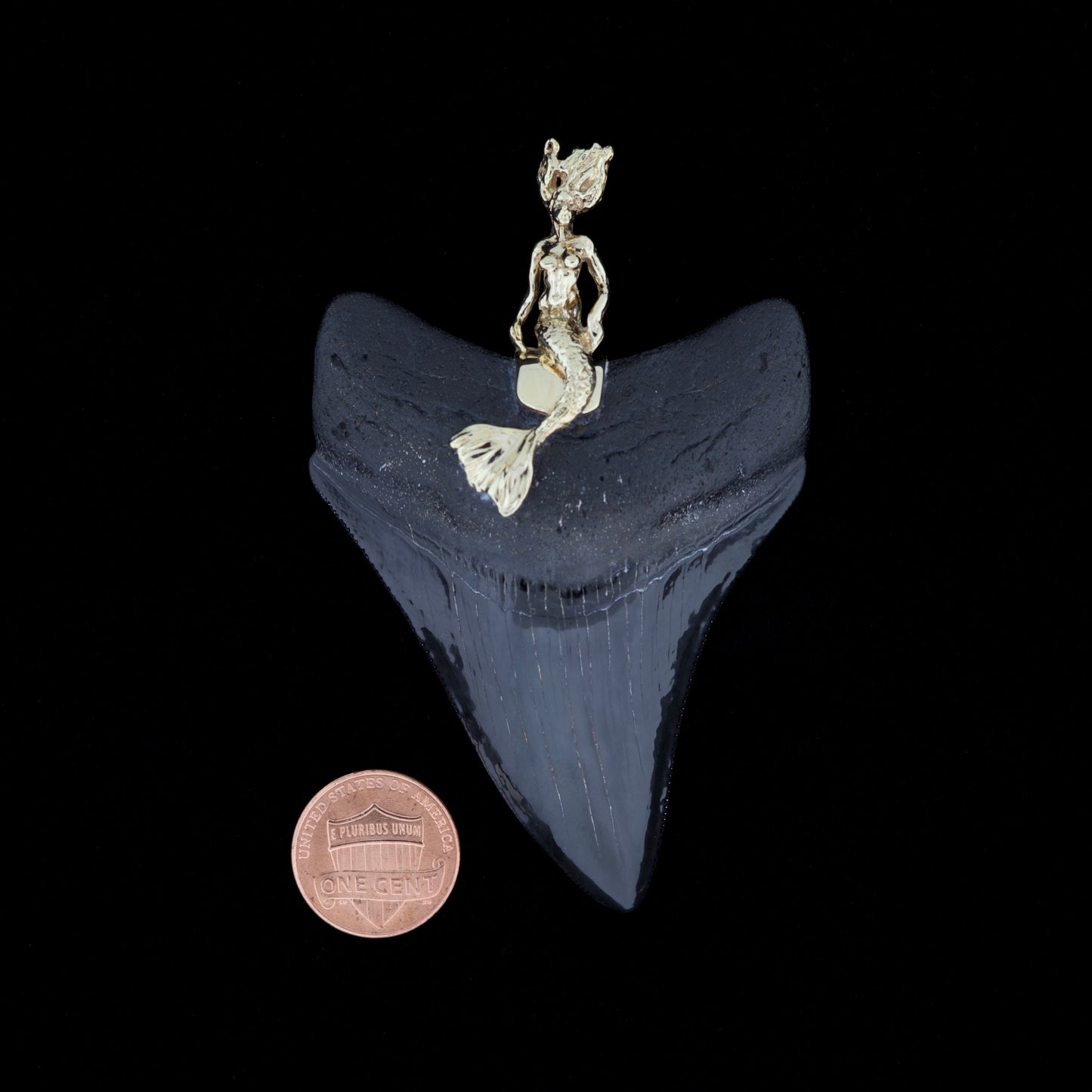 3" Megalodon Tooth Pendant | 14k Gold Mermaid