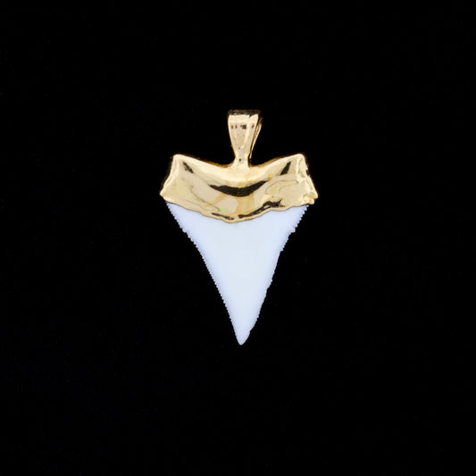 7/8" Oceanic White Tip Shark Tooth Pendant - 18K Gold Electroformed