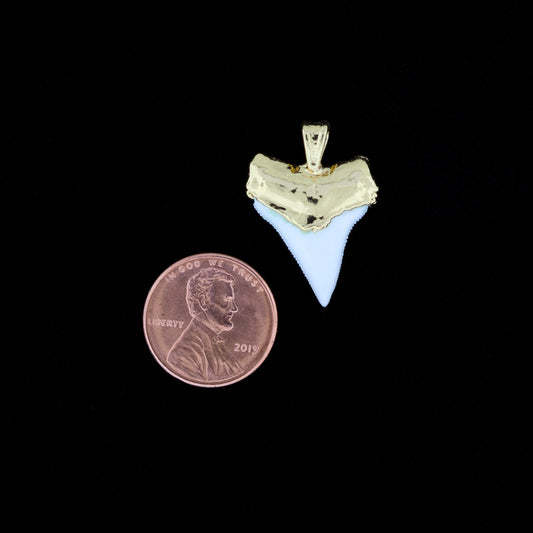 7/8" Oceanic White Tip Shark Tooth Pendant - 18K Gold Electroformed