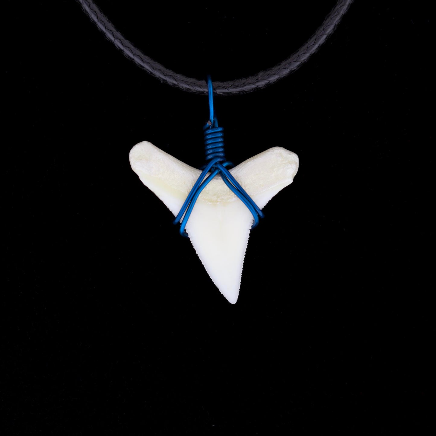 7/8" Modern Bull Shark Tooth Necklace – Color Wire-Wrap, Pearlescent Root