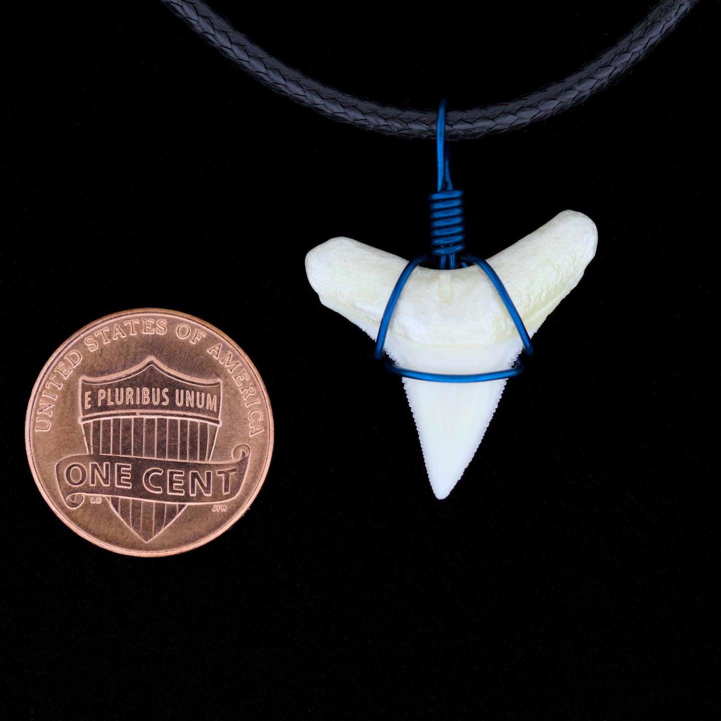 7/8" Modern Bull Shark Tooth Necklace – Color Wire-Wrap, Pearlescent Root