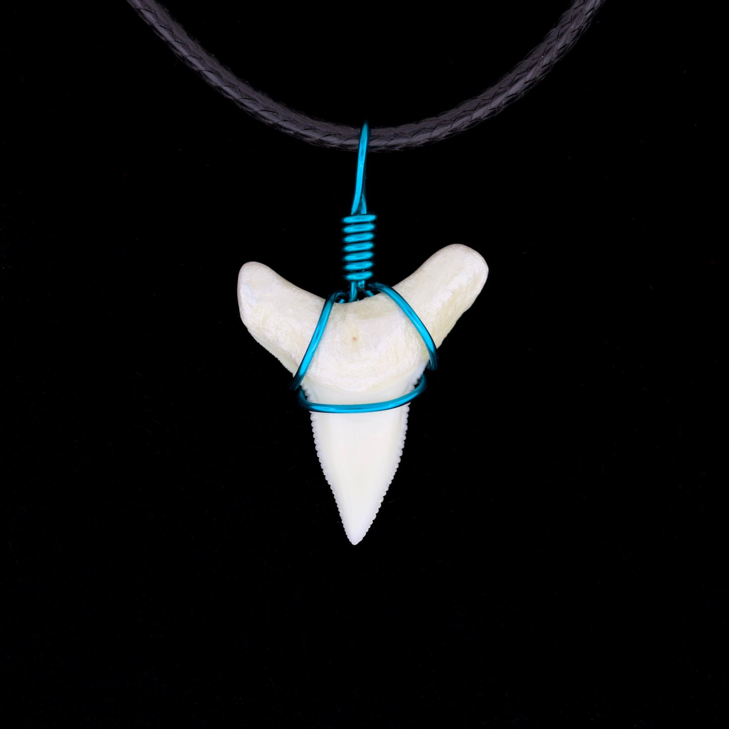 7/8" Modern Bull Shark Tooth Necklace – Color Wire-Wrap, Pearlescent Root