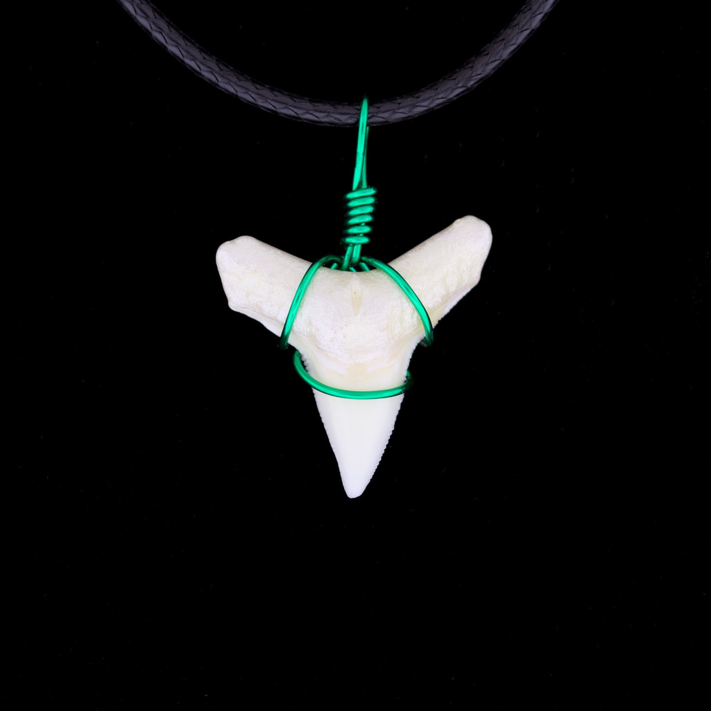 7/8" Modern Bull Shark Tooth Necklace – Color Wire-Wrap, Pearlescent Root