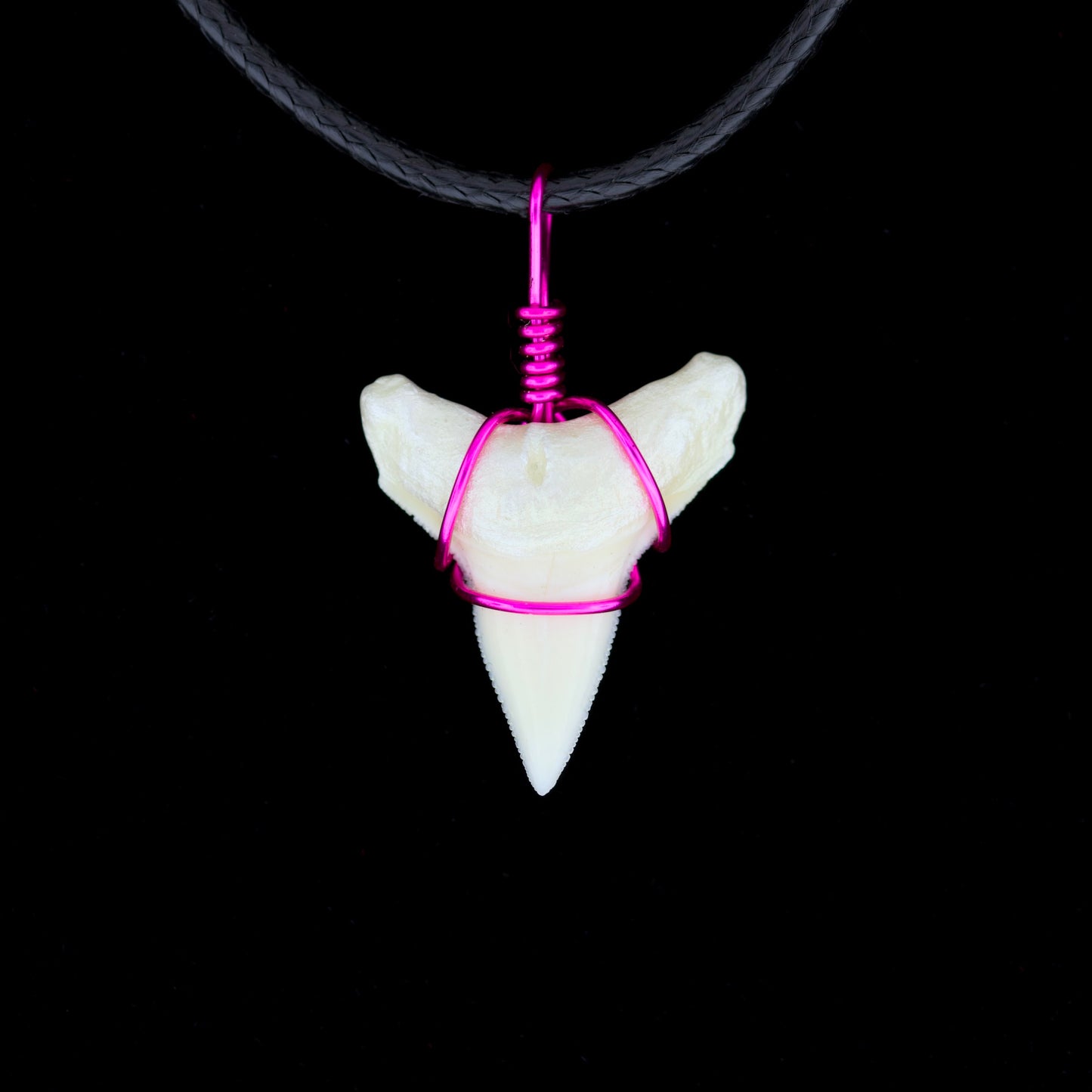 7/8" Modern Bull Shark Tooth Necklace – Color Wire-Wrap, Pearlescent Root