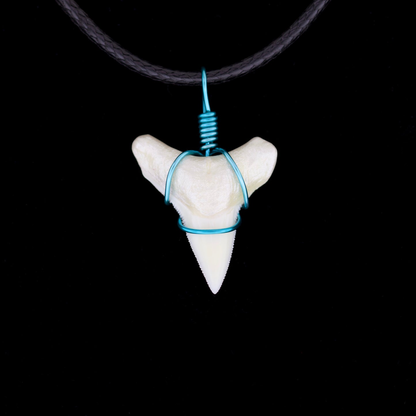 7/8" Modern Bull Shark Tooth Necklace – Color Wire-Wrap, Pearlescent Root