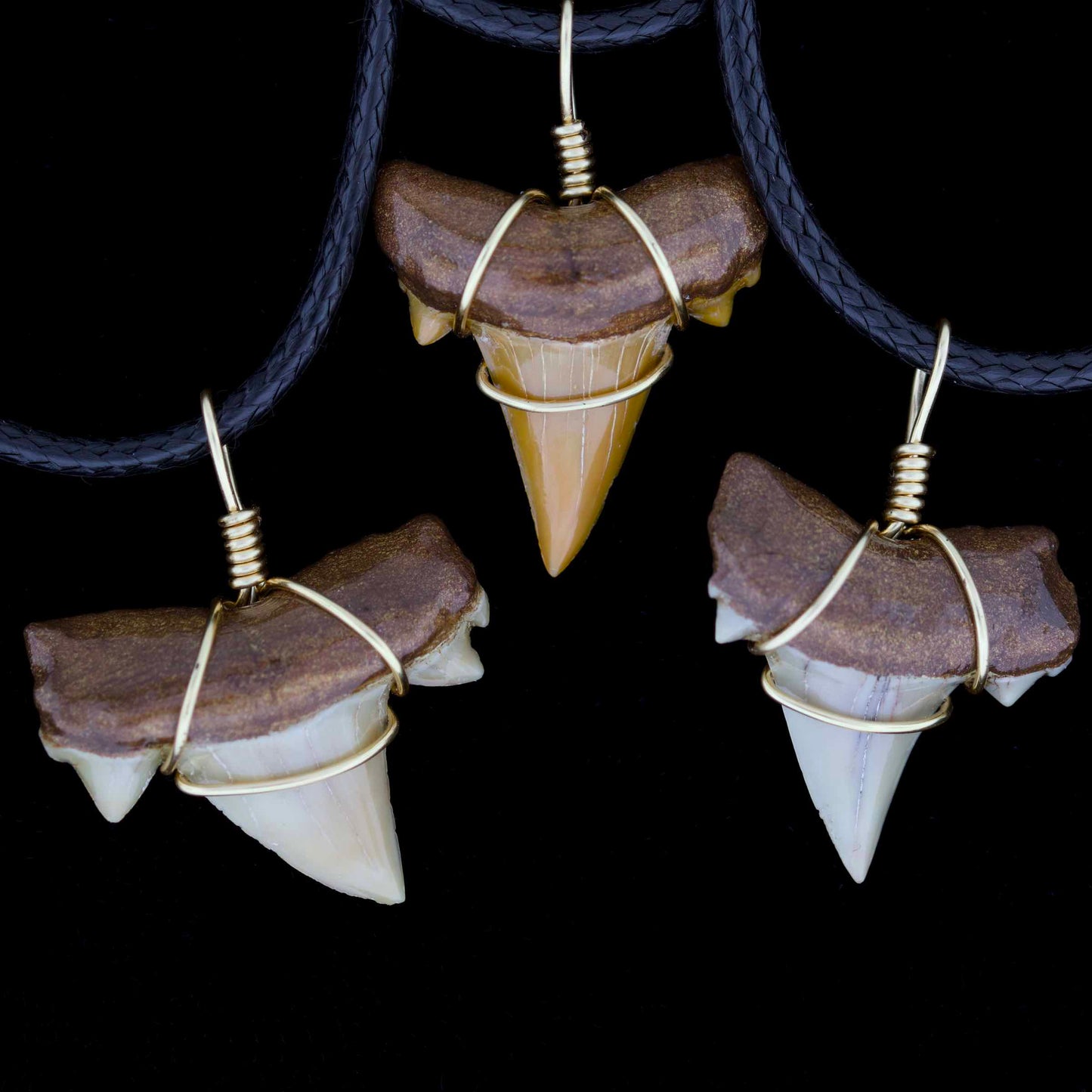 7/8" Pearl Brown Otodus Obliquus Necklace