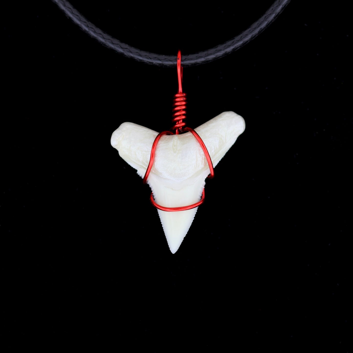 7/8" Modern Bull Shark Tooth Necklace – Color Wire-Wrap, Pearlescent Root