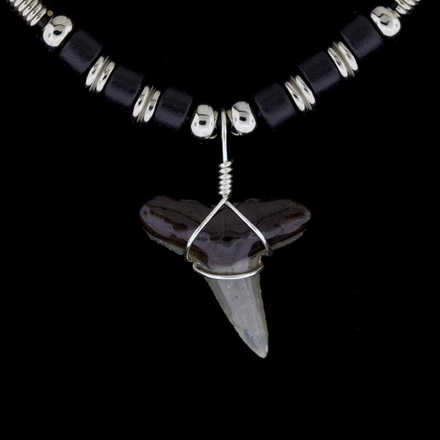 1" Fossil Lemon Shark Tooth Necklace – Black & Silver-Tone Beads