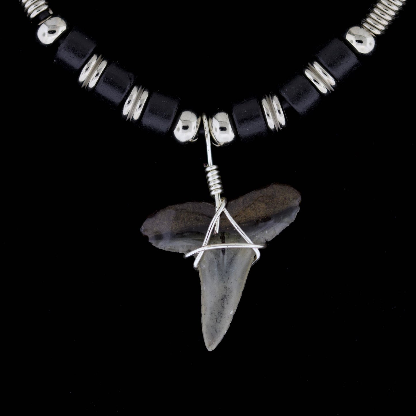 1" Fossil Lemon Shark Tooth Necklace – Black & Silver-Tone Beads