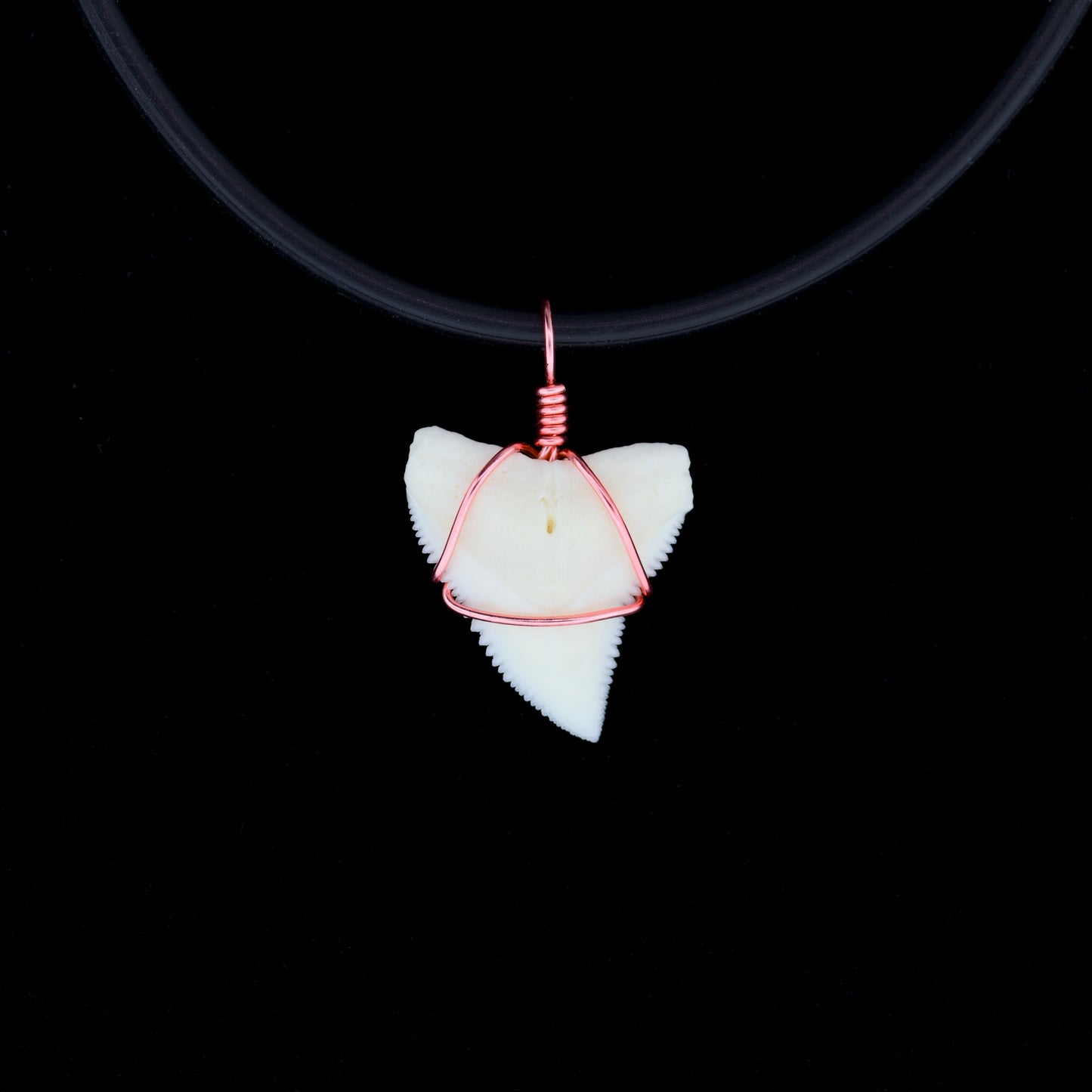 White bull shark tooth pendant with pink wire on a black background