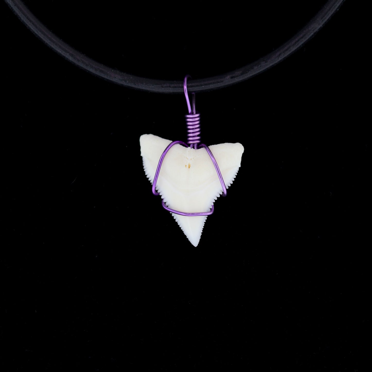 Bull shark tooth pendant with purple wire-wrapping on a black cord against a black background