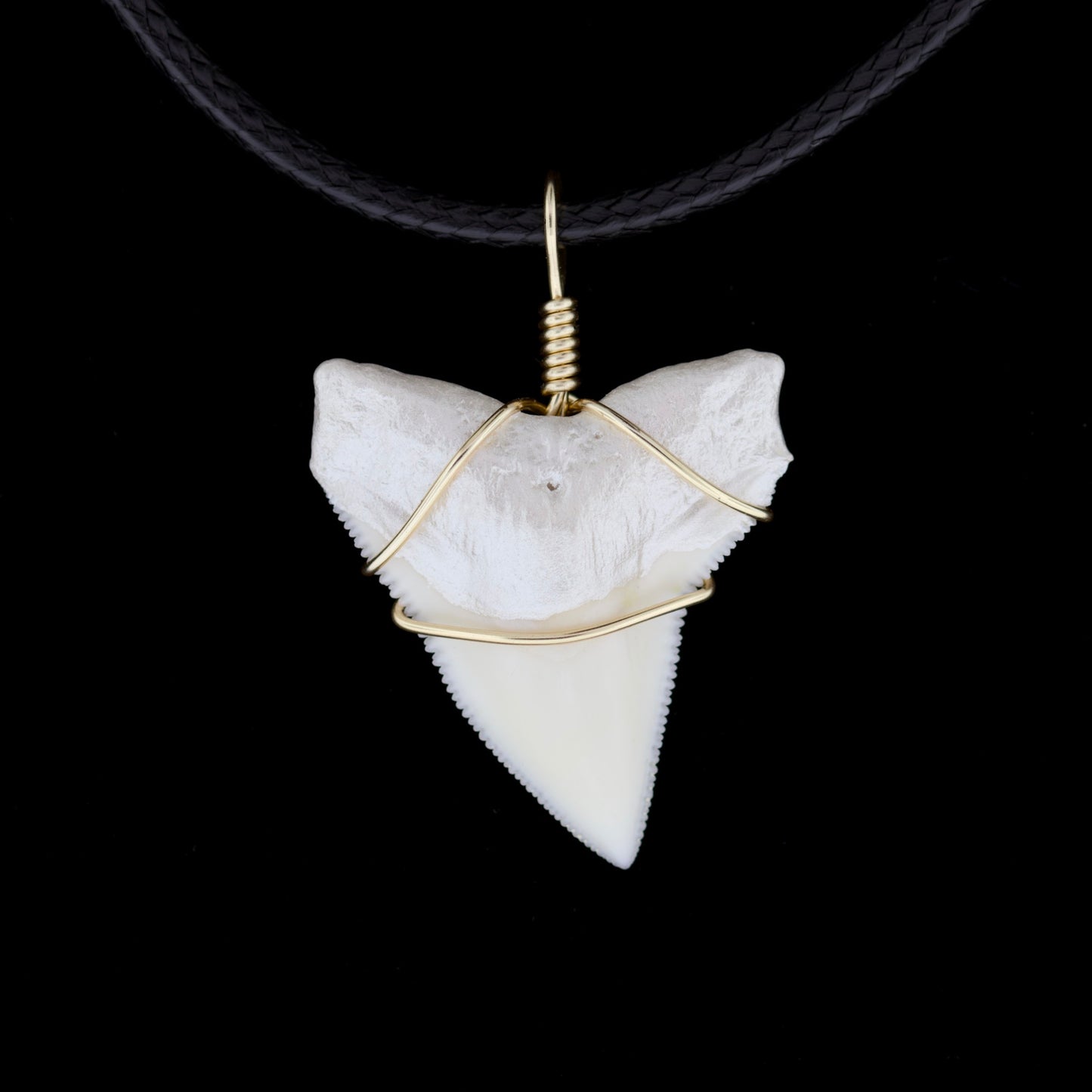 1" Modern Bull Shark Tooth Necklace – Color Wire-Wrap / Pearlescent Root
