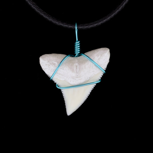1" Modern Bull Shark Tooth Necklace – Color Wire-Wrap / Pearlescent Root