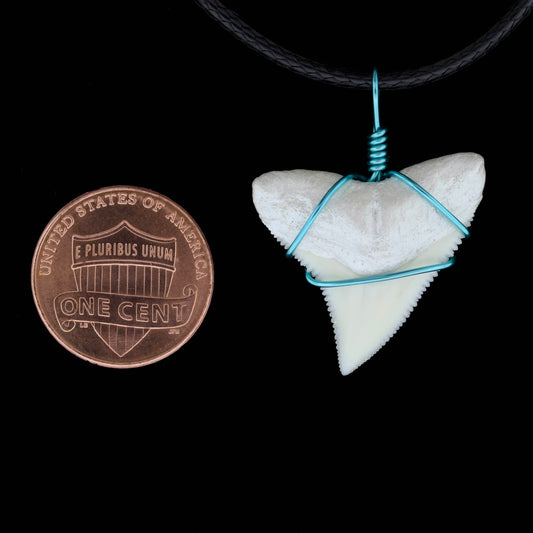 1" Modern Bull Shark Tooth Necklace – Color Wire-Wrap / Pearlescent Root