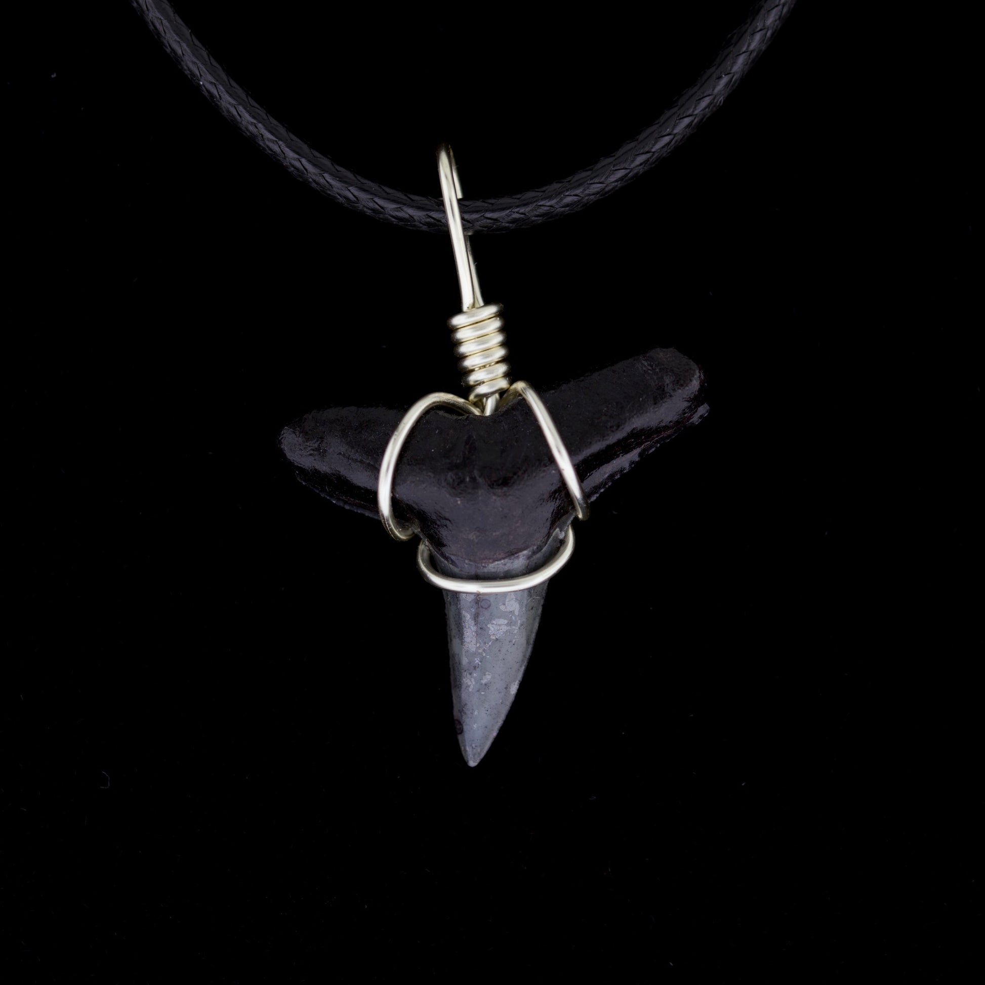 Black lemon shark tooth pendant on a black cord against a black background