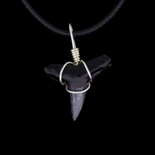 Black lemon shark tooth pendant on a black cord against a black background