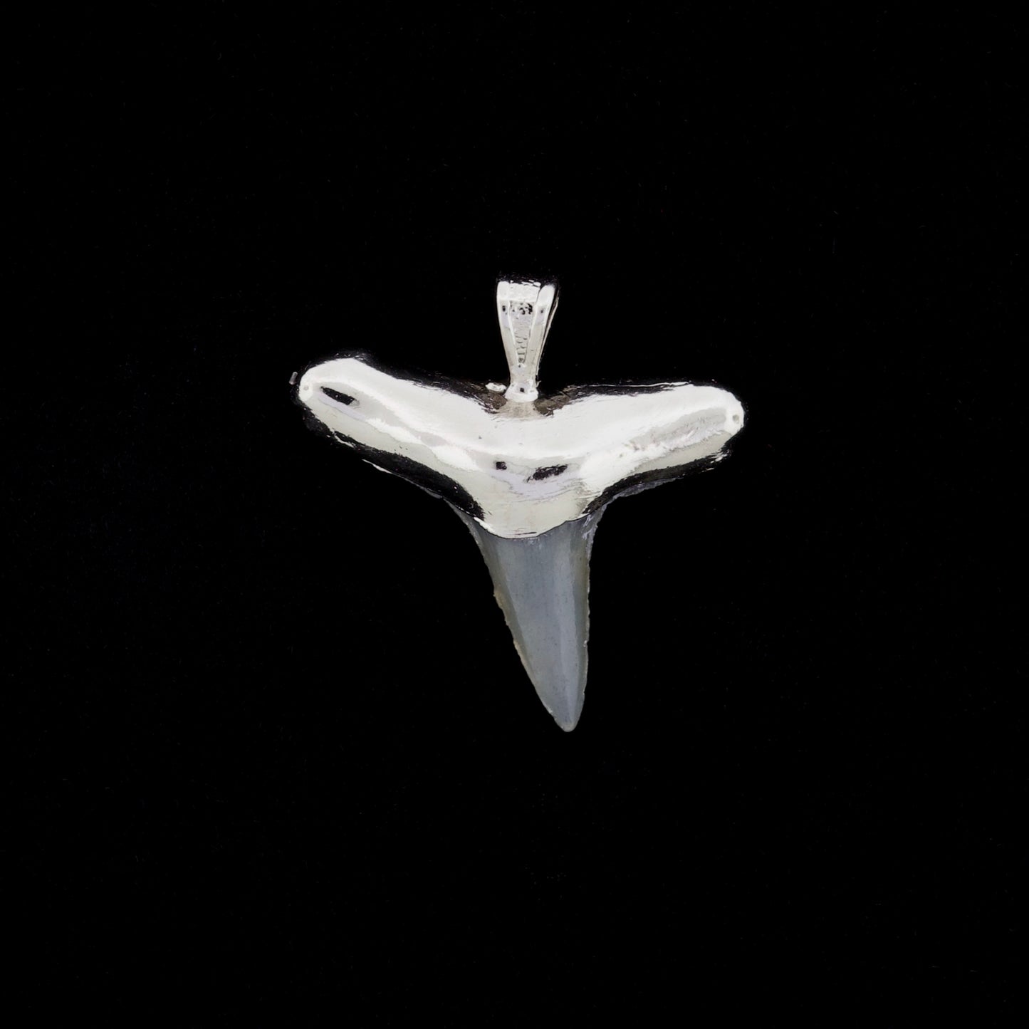 1" Fossil Lemon Shark Tooth Pendant | Nickel Electroformed
